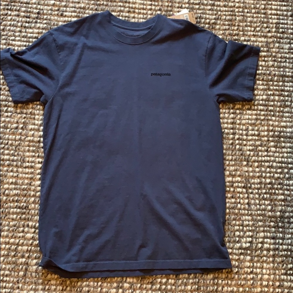 Blue Patagonia T-shirt